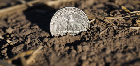 dollar Verenigde Staten grondprijs