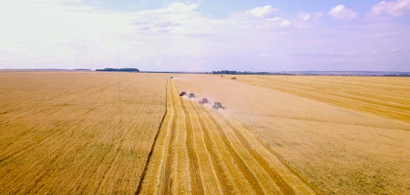 akkerbouw tarwe graanoogst tarweoogst rusland