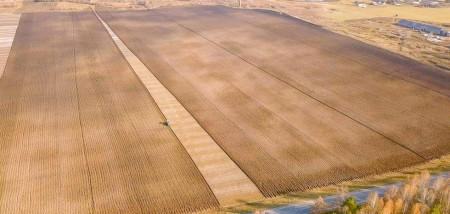 akkerbouw tarweoogst ploegen rusland tarwe - agri graan - agri