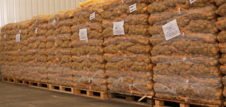 aardappelen export aardappelexport