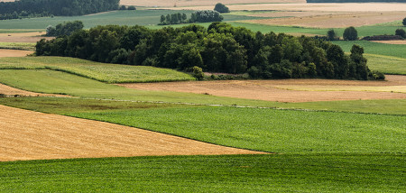 terres arables belgique