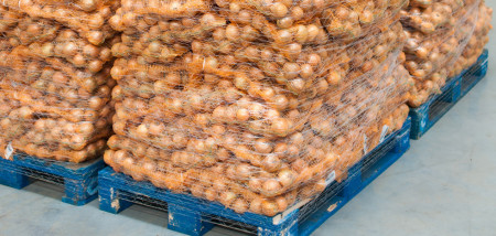 agriculture arable exportation oignons exportation d'oignons