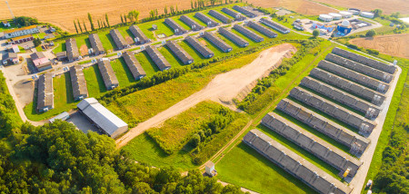 varkenshouderij Duitsland