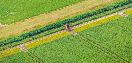aardappelen akkerbouw aardappelperceel droogte beregening