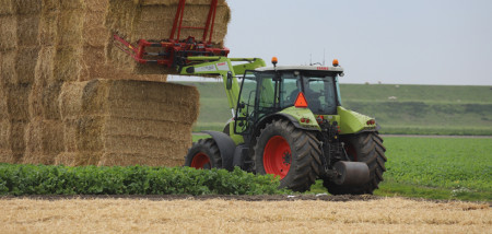 bloembollen stro strobalen