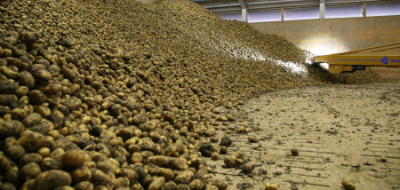 aardappelen aardappelbewaring Agrifoto