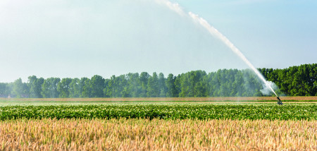 aardappelen droogte zomer beregening