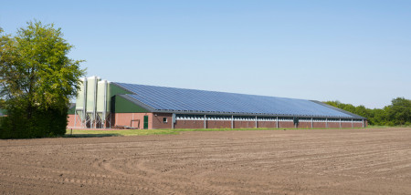 veehouderij energie zonnepanelen zonneenergie nieuwbouw
