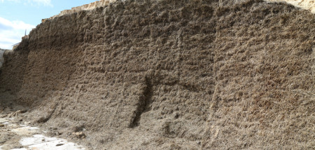 veevoer voer melkveebedrijf kuilgras kuilvoer kuil