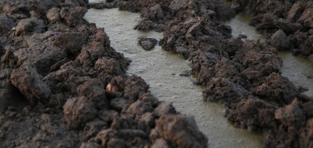 mest bemesting uitrijden