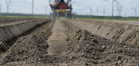 peen peenareaal zaaien Boerenbusiness