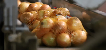 Zak met verse uien, klaar voor verkoop en dagelijkse consumptie