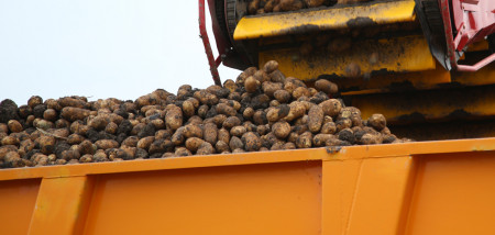 aardappelen aardappeloogst Innovator