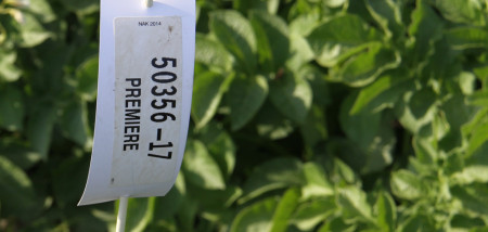 aardappelen Premiere