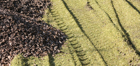 kuilvoer snijmais voederbieten