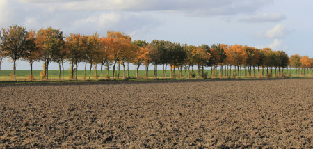 akkerbouw grond perceel herfst land