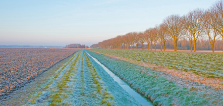 arables agriculture gel hiver flevoland
