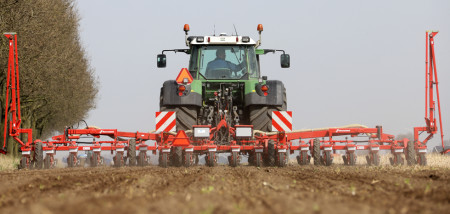 suikerbieten zaaien bietenzaaien