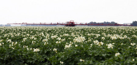 aardappelen spuiten