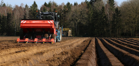 pootgoed aardappelen poten