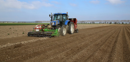 pootgoed aardappelen poten