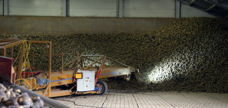 aardappelen inschuren