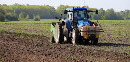 aardappelen zetmeelaardappelen aardappelen poten