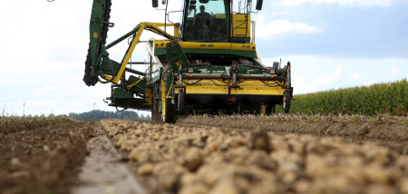 pootgoed aardappeloogst pootgoedoogst