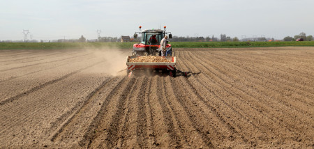 aardappelen aardappelen poten