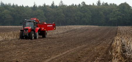 aardappelen aardappeloogst zetmeelaardappelen Drenthe