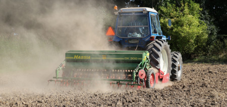 droogte stof groenbemester