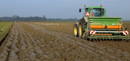 zaaien tarwe - agri graan - agri