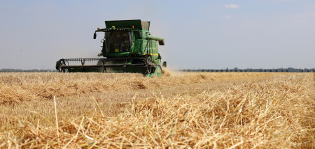 récolte de céréales récolte de blé récolte de paille blé - agri grain - agri