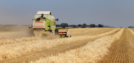 tarweoogst tarwestro Oldambt Groningen graan - agri