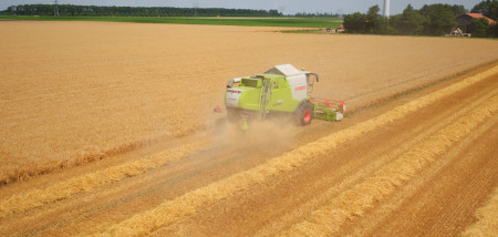 oogsten wintergerst graan - agri