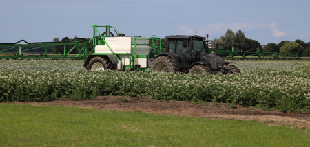 aardappelen spuiten gewasbescherming