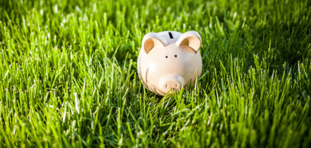 financieel varkens prijs sparen