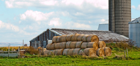 melkveebedrijf Verenigde Staten