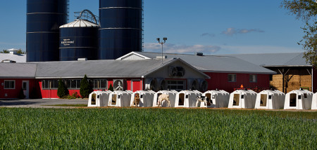Fikse verhoging voor melkprijs in Canada 