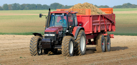 aardappelen aardappeloogst