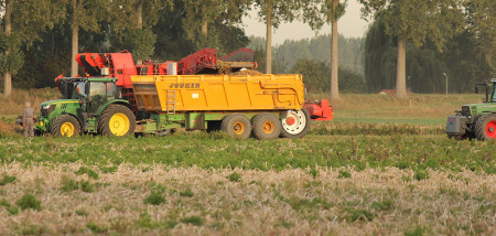 aardappeloogst Zeeuws Vlaanderen