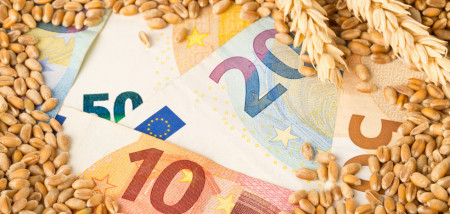 euro blé - agriculture