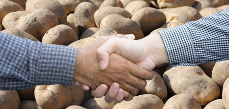 handdruk handen aardappelhandel