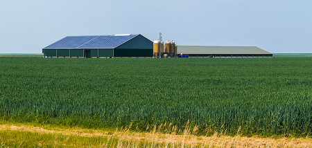 zonnepanelen zonneenergie stal melkveebedrijf schuur