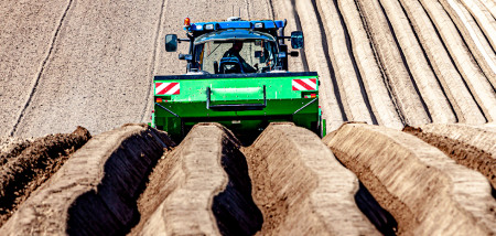 aardappelperceel limburg