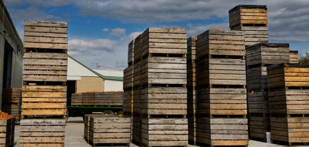 kisten uien uienbewaring