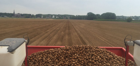 tournée des cultures de pommes de terre 2018 planter des pommes de terre