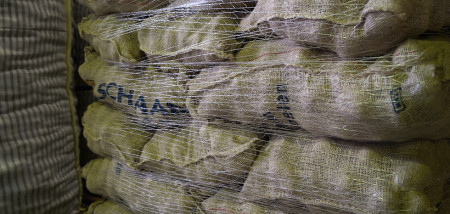 pootgoed agria schaap