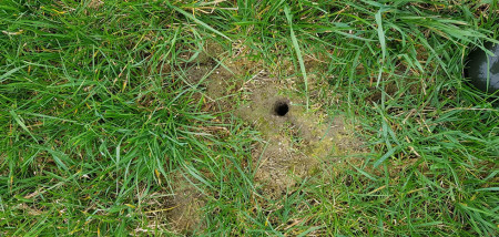 muizenschade ruwvoertour2020