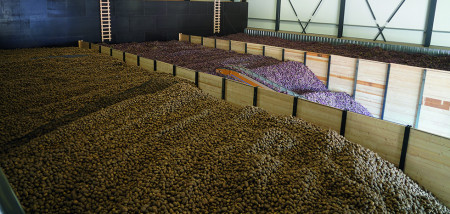 aardappelen aardappelbewaring Agrifoto2